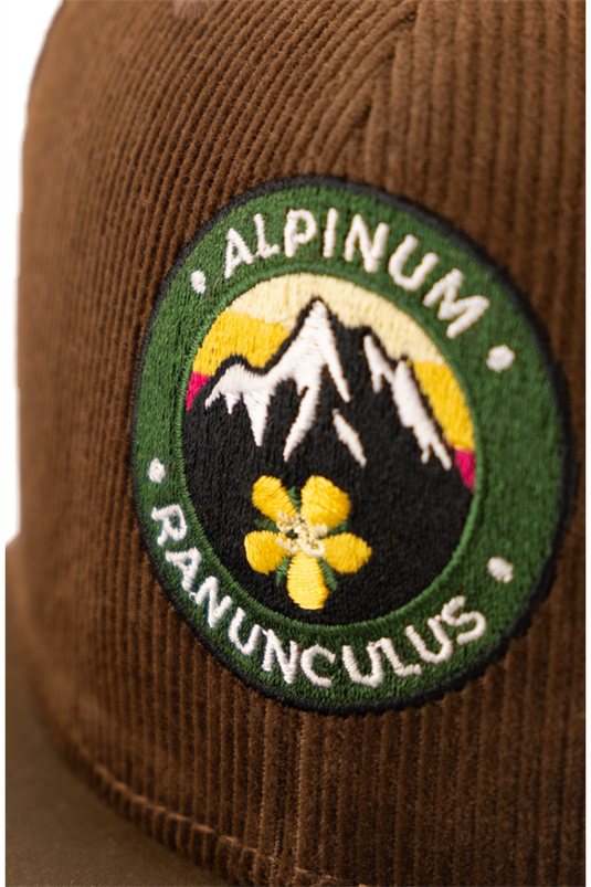 _BRAUN