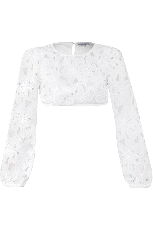 _OFFWHITE