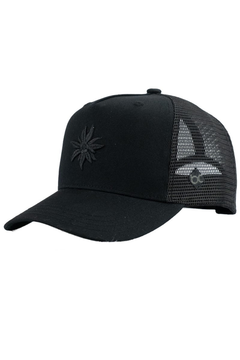 SCHWARZ